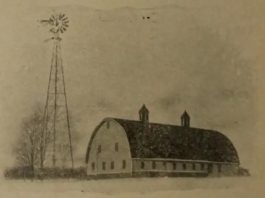 “A power windmill at a farm in Cunard, Nova Scotia, manufactured by Goold, Shapley & Muir Co., Limited in Brantford, Ontario. Pg. 46 in the 1905 company Catalogue.” Retrieved from https://archive.org/details/brantfordwindmil00goul/page/46/mode/2up?view=theater&q=height